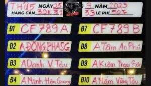 Lịch thi đấu giải đá gà trường CPC5