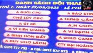 Lịch thi đấu giải đá gà trường Tonhon