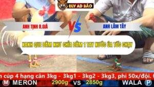 Trận 10 trường gà cpc5 18/9/2025