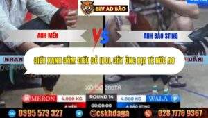 Trận 14 trường gà Tonhon 12/9/2025
