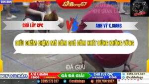 Trận 16 trường gà Tonhon 27/9/2025