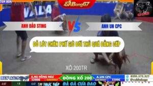 Trận 19 trường gà Tonhon 27/9/2025