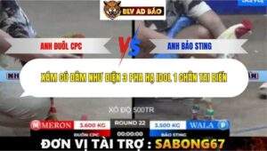 Trận 22 trường gà Tonhon 12/9/2025