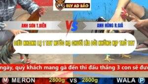 Trận 24 trường gà cpc5 17/9/2025