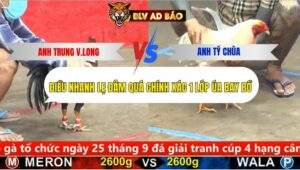 Trận 25 trường gà cpc5 20/9/2025