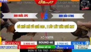 Trận 46 trường gà Tonhon 27/9/2025