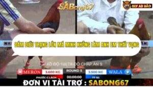 Trận 5 trường gà Tonhon 12/9/2025