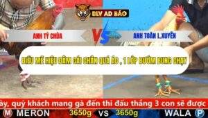 Trận 6 trường gà cpc5 20/9/2025