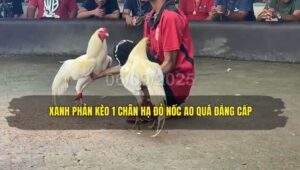 Trận 6 trường gà TH7A ngày 6/9/2025