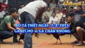 Trận gà dị bồ Tà Thiết