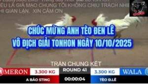 Anh Tèo Đen Lê – Nhà vô địch cúp Tonhon ngày 10/10/2025