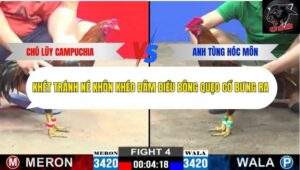 Trận 4 trường gà C3 18/10/2025