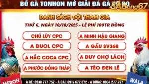 giải đá gà tự do bồ Tonhon ngày 10/10/2025