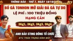 Thông tin giải đá gà tự do trường Tonhon ngày 18/10/2025
