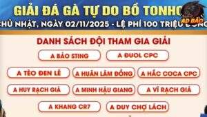 giải đá gà tự do trường Tonhon ngày 2/11/2025