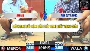 Trận 1 trường gà CPC6 10/10/2025