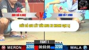 Trận 1 trường gà CPC6 9/10/2025