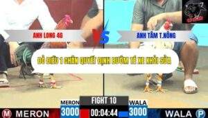 Trận 10 trường gà CPC6 6/10/2025