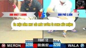 Trận 12 trường gà CPC6 15/10/2025