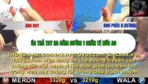 Trận 15 trường gà CPC5 16/10/2025