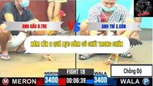 Trận 18 trường gà CPC6 10/10/2025