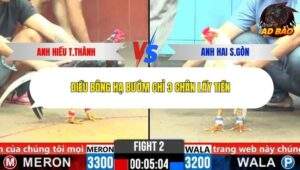 Trận 2 trường gà C6 Ngày 30/10/2025