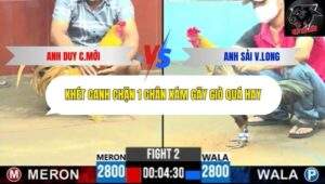 Trận 2 trường gà CPC6 14/10/2025