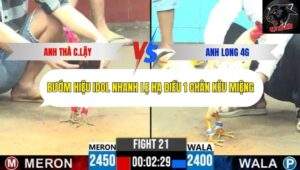 Trận 21 trường gà CPC6 13/10/2025