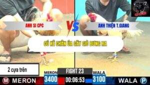 Trận 23 trường gà CPC6 5/10/2025