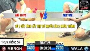 Trận 25 trường gà CPC6 5/10/2025