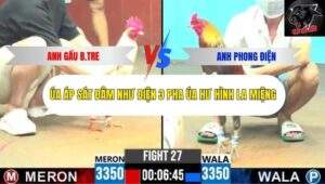 Trận 27 trường gà CPC6 13/10/2025