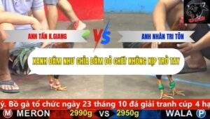 Trận 3 trường gà CPC5 14/10/2025