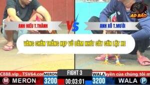 Trận 3 trường gà CPC6 28/10/2025