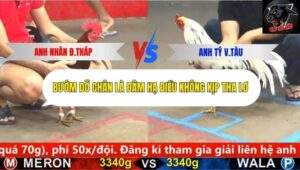 Trận 4 trường gà CPC5 15/10/2025