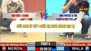 Trận 5 trường gà C6 Ngày 29/10/2025