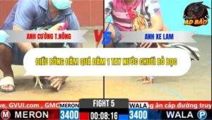 Trận 5 trường gà CPC6 27/10/2025