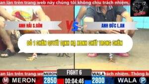 Trận 6 trường gà CPC6 19/10/2025