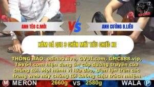 Trận 7 trường gà CPC5 15/10/2025