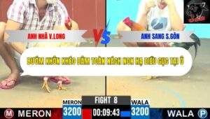 Trận 8 trường gà CPC6 15/10/2025