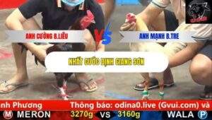 Trận 9 trường gà CPC5 7/10/2025