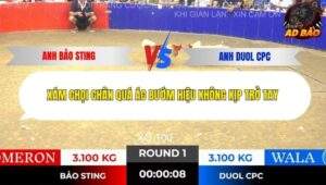 Trận 1 Tonhon 13/11/2025