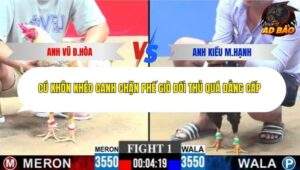 Trận 1 trường gà CPC3 30/11/2025