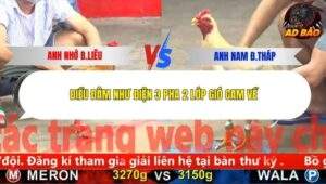 Trận 1 trường gà CPC5 8/11/2025