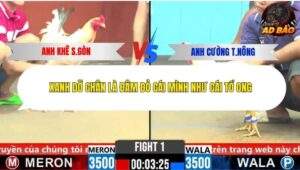 Trận 1 trường gà CPC6 5/11/2025