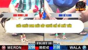 Trận 10 trường gà CPC3 30/11/2025