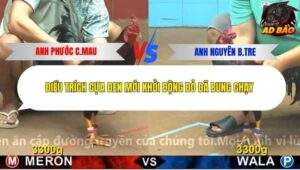 Trận 12 trường gà CPC4 17/11/2025