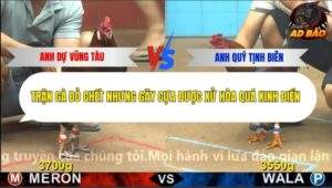 Trận 13 trường gà CPC4 16/11/2025