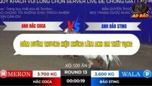 Trận 13 trường gà Tonhon 2/11/2025