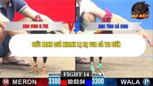 Trận 14 trường gà CPC3 30/11/2025