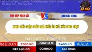 Trận 15 trường gà Tonhon 13/11/2025